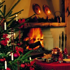 Lyskæde til træ, med 25 lys, 13,6 m, delbart stik