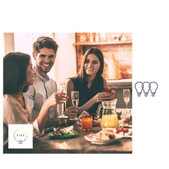 Müller Licht LED udendørs spotlight tint Flores, sæt med 3 stk