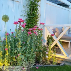 Müller Licht LED udendørs spotlight tint Flores, sæt med 3 stk