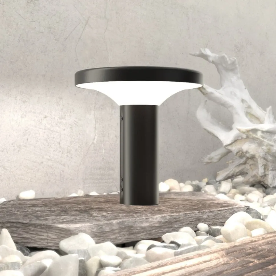 MyWhite_Bond LED-sokkellampe, 20,4 cm