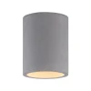 Paul Neuhaus Eton loftlampe, grå, beton, Ø 11 cm, GU10