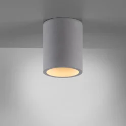 Paul Neuhaus Eton loftlampe, grå, beton, Ø 11 cm, GU10