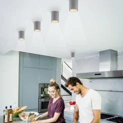 Paul Neuhaus Eton loftlampe, grå, beton, Ø 11 cm, GU10