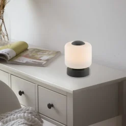 Paul Neuhaus LED-bordlampe Bota, antracit, glas, dæmpbar