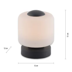 Paul Neuhaus LED-bordlampe Bota, antracit, glas, dæmpbar