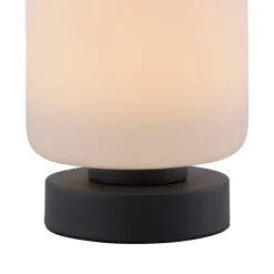 Paul Neuhaus LED-bordlampe Bota, antracit, glas, dæmpbar