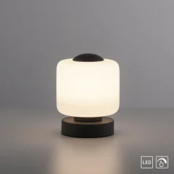 Paul Neuhaus LED-bordlampe Bota, antracit, glas, dæmpbar