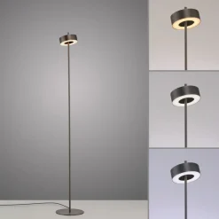 Paul Neuhaus LED-gulvlampe Q-Rotate mørkebrun 140 cm