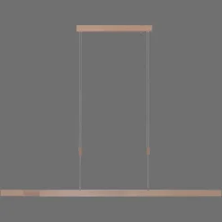 Paul Neuhaus LED-hængelampe Adriana CCT justerbar dæmpbar