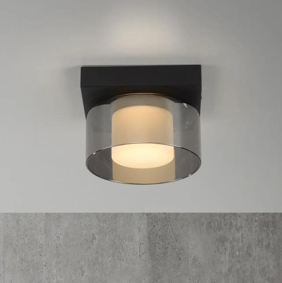 Paul Neuhaus LED-loftlampe Rika, Ø 15 cm, glas, dæmpbar