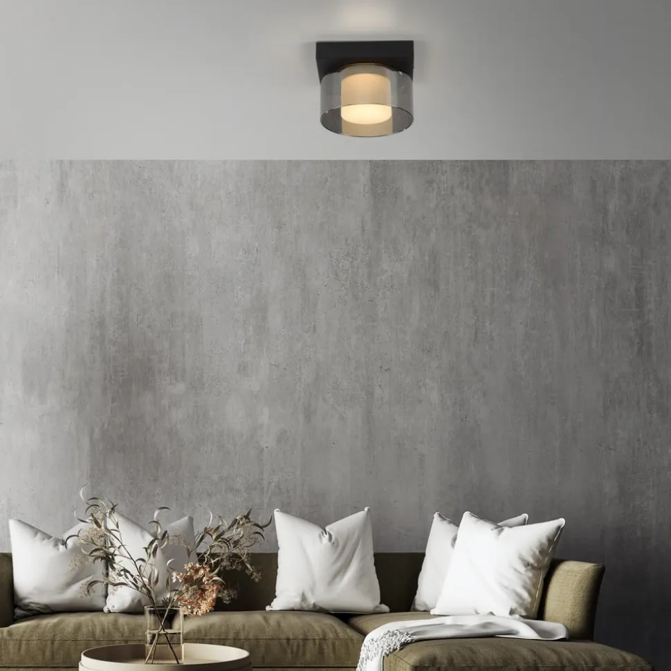 Paul Neuhaus LED-loftlampe Rika, Ø 15 cm, glas, dæmpbar