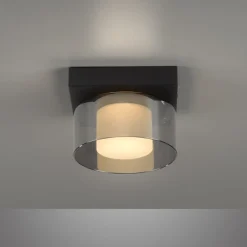 Paul Neuhaus LED-loftlampe Rika, Ø 15 cm, glas, dæmpbar
