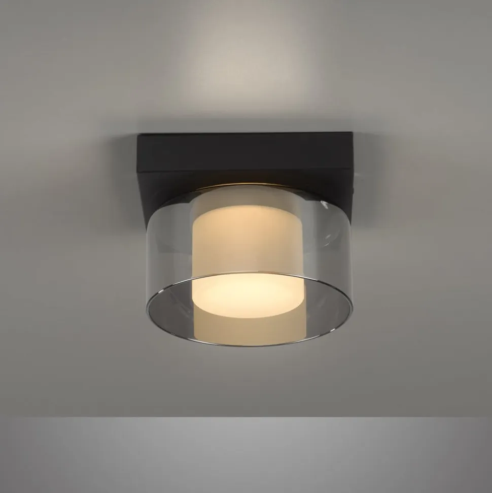 Paul Neuhaus LED-loftlampe Rika, Ø 15 cm, glas, dæmpbar