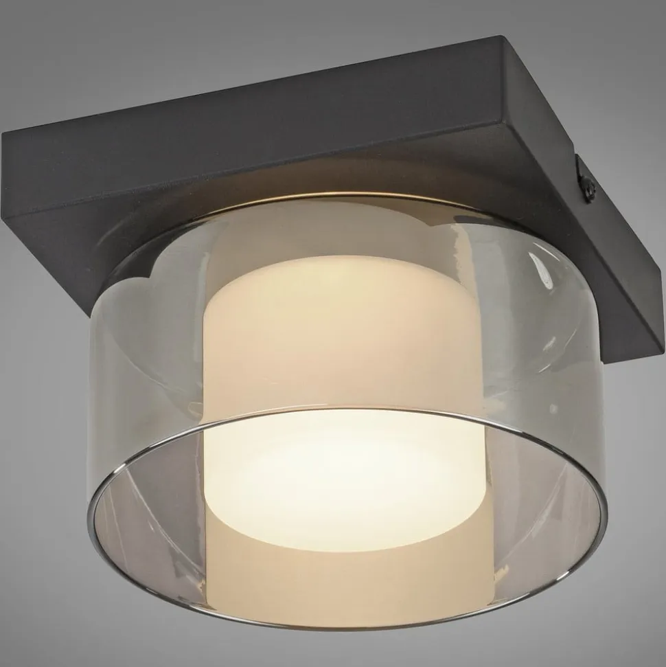 Paul Neuhaus LED-loftlampe Rika, Ø 15 cm, glas, dæmpbar