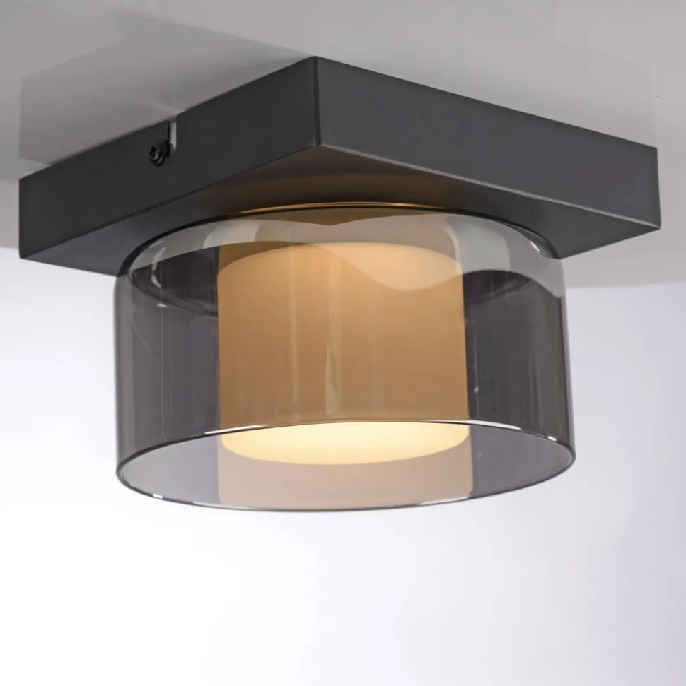 Paul Neuhaus LED-loftlampe Rika, Ø 15 cm, glas, dæmpbar