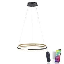 Paul Neuhaus Q-Beluga LED-hængelampe, messing