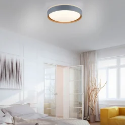 Paul Neuhaus Q-EMILIA LED-loftslampe, grå/træ