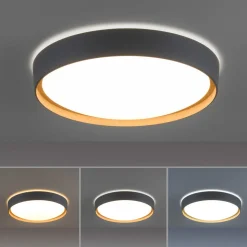 Paul Neuhaus Q-EMILIA LED-loftslampe, grå/træ