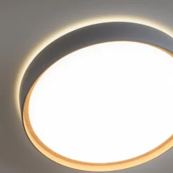 Paul Neuhaus Q-EMILIA LED-loftslampe, grå/træ