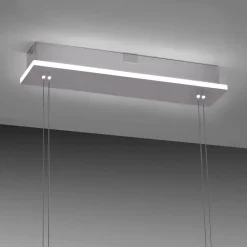 Paul Neuhaus Q-ETIENNE LED-hængelampe, 4 lyskilder