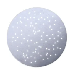 Paul Neuhaus Q-NIGHTSKY LED-loftlampe, rund