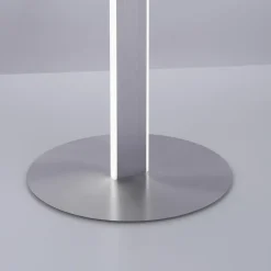 Paul Neuhaus Q-Vito LED-gulvlampe, lige med ring