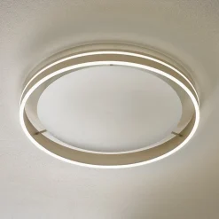 Paul Neuhaus Q-VITO LED-loftlampe 59 cm stål
