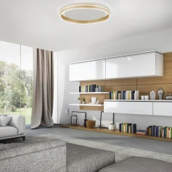 Paul Neuhaus Q-VITO LED-loftslampe, Ø 60 cm