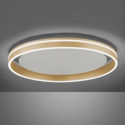Paul Neuhaus Q-VITO LED-loftslampe, Ø 60 cm
