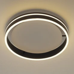 Paul Neuhaus Q-VITO LED-loftslampe 40 cm antracit