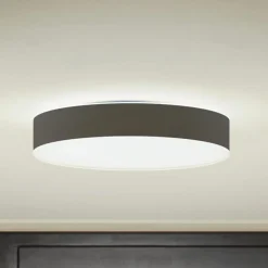 Philips Hue Enrave LED-loftslampe 38,1 cm sort