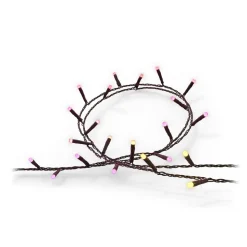 Philips Hue Festavia LED-lyskæde, CCT RGB 40 m