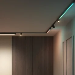 Philips Hue Perifo 2x Spots, Gradient Tube sort