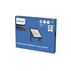 Philips ProjectLine udendørs LED-spot 6.500K 150W
