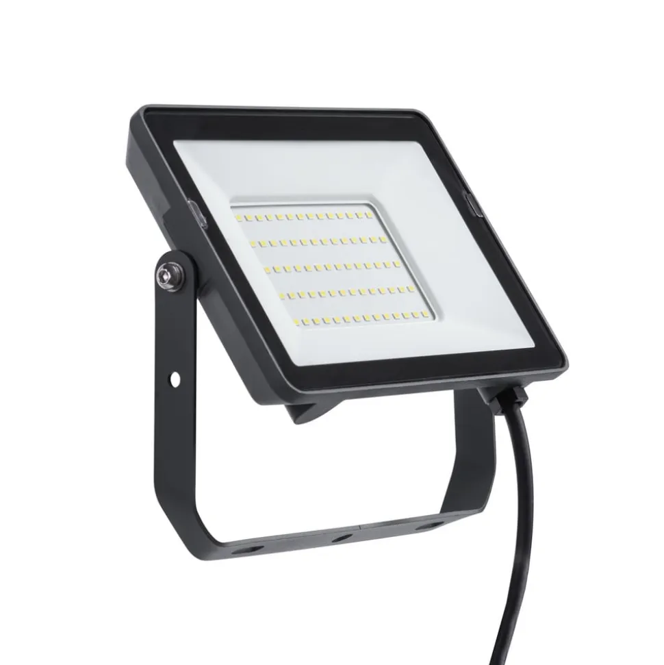 Philips ProjectLine udendørs LED-spot 4.000K 50W