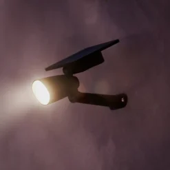 Philips udendørs LED-spot Ashlyn, sort, IP44