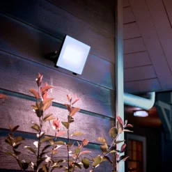 Philips udendørs LED-spot Lois UE flood, 14 W, 5.000 K, IP65