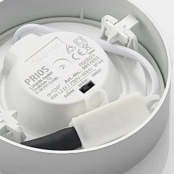 Prios LED-loftlampe Edwina, sølv, 12 cm, sæt med 2 stk