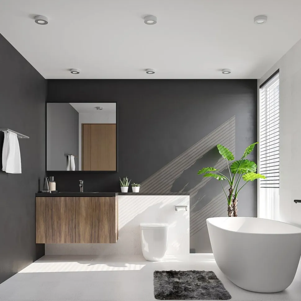 Prios LED-loftlampe Edwina, sølv, 12 cm, CCT, IP44