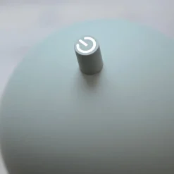 Schöner Wohnen LED-akku-gulvlampe Bellies, forårsvækkelse