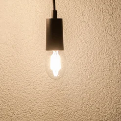 SEGULA Tube LED-pære E27 8 W 2.700 K klar, dæmpes