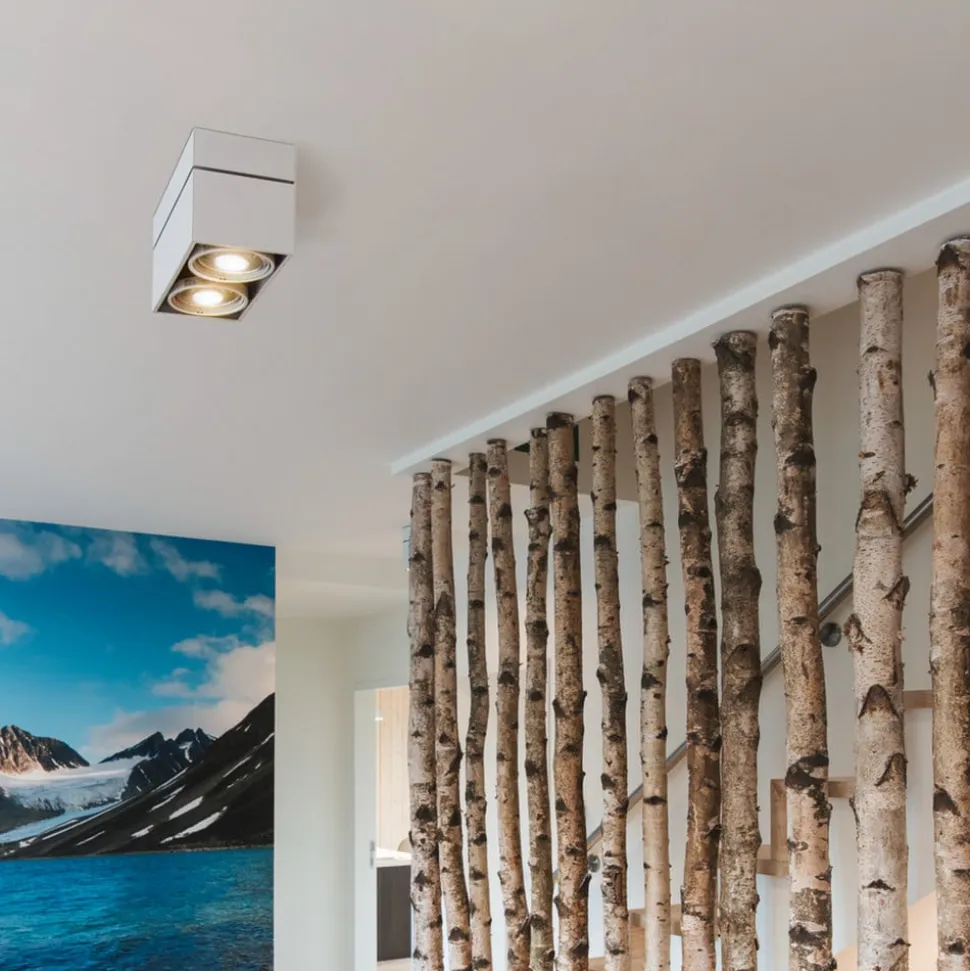 SLV Kardamod loftlampe, hvid, stål, længde 31,5 cm, 2 lyskilder.