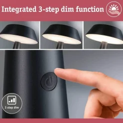 Soala Solcelle Lampe Anthracite - Paulmann