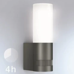 STEINEL L 605 S udendørs LED-væglampe, sensor IP44