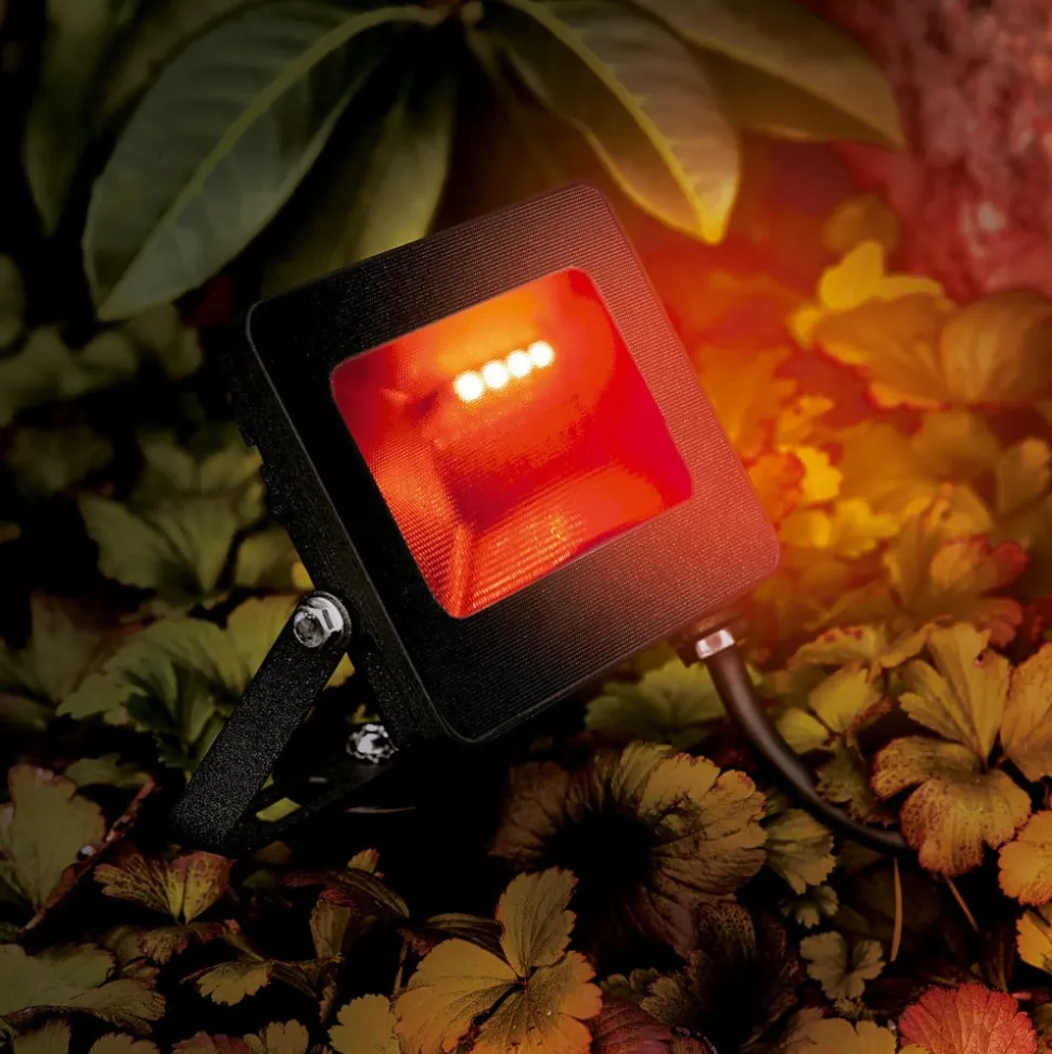 Udendørs LED-spot Kingston med jordspyd, RGBW