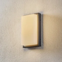 Udendørs LED-væglampe Babett, stål, glas, sensor