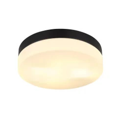 Udendørs loftslampe Vranos, mat sort, Ø 24 cm, aluminium