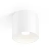 WEVER & DUCRÉ Ray PAR16 loftlampe hvid