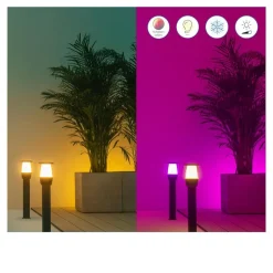 WiZ Elpas LED-gadelampe sort RGBW udvidelse