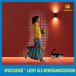 WiZ G95 LED-filamentpære globe WiFi E27 6,3 W RGBW